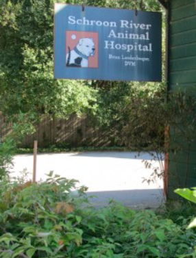 Schroon River Animal Hospital